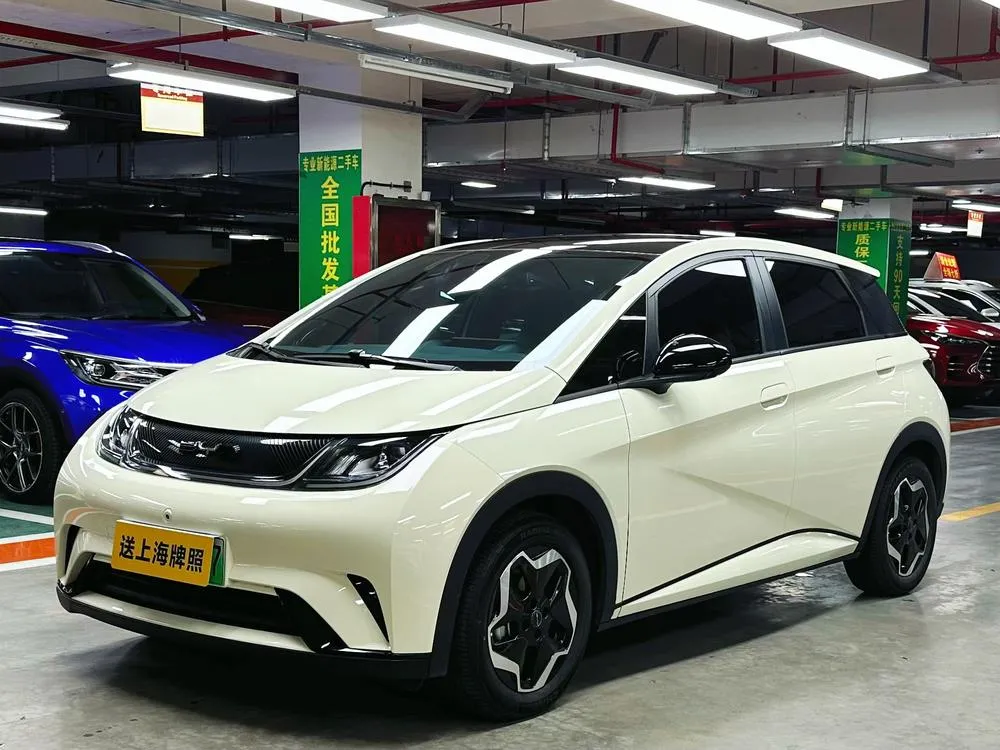 BYD Dolphin, 2023