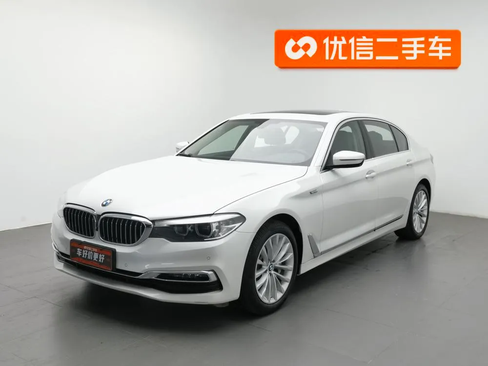 BMW 5-Series 530Li xDrive Luxury, 2019 — фото 1