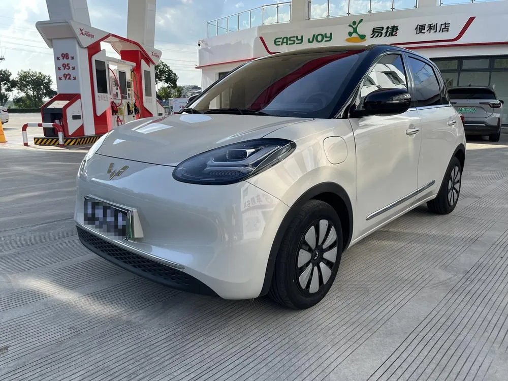 Wuling Bingo, 2024