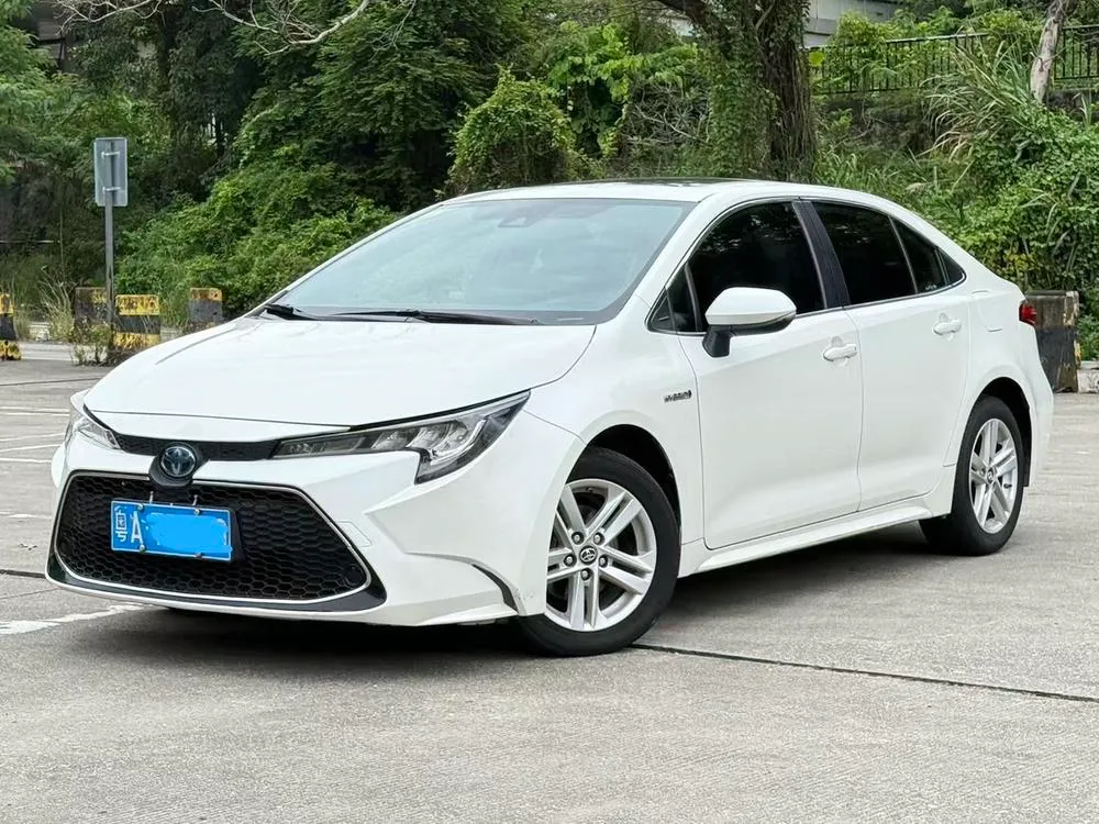 Toyota Levin, 2019