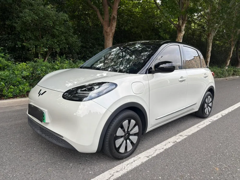 Wuling Bingo, 2023