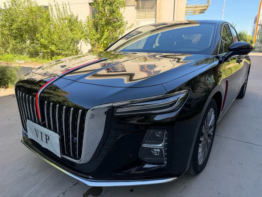 Hongqi H5, 2023
