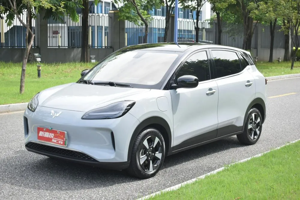 Wuling Bingo PLUS, 2024