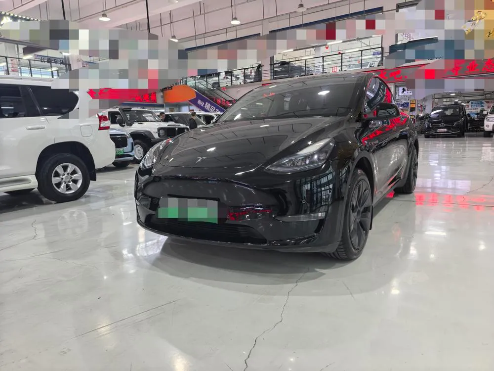 Tesla Model Y, 2024