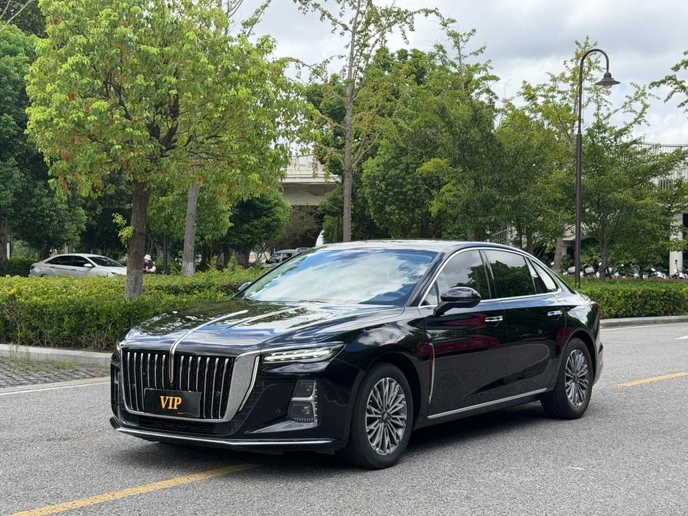 Hongqi H5, 2024