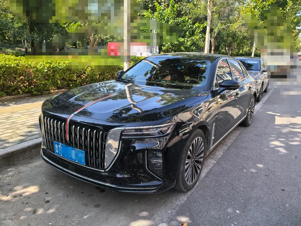Hongqi H9, 2024