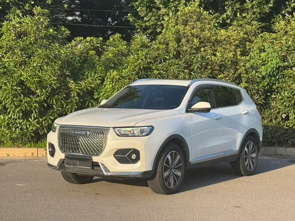 Haval H6, 2020