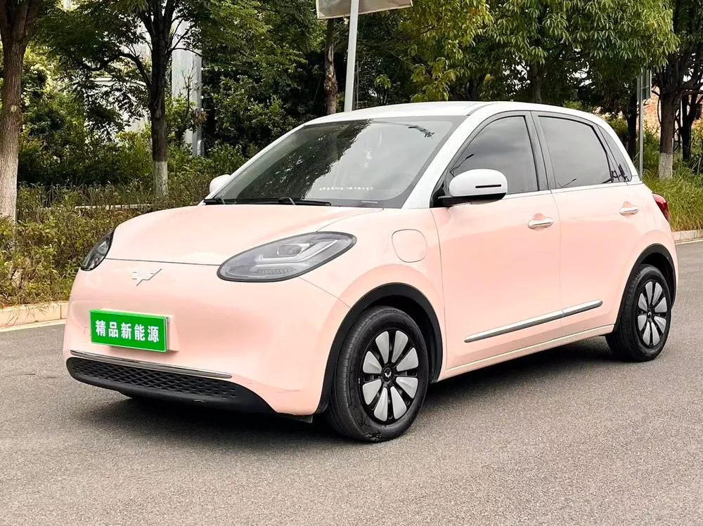Wuling Bingo, 2023
