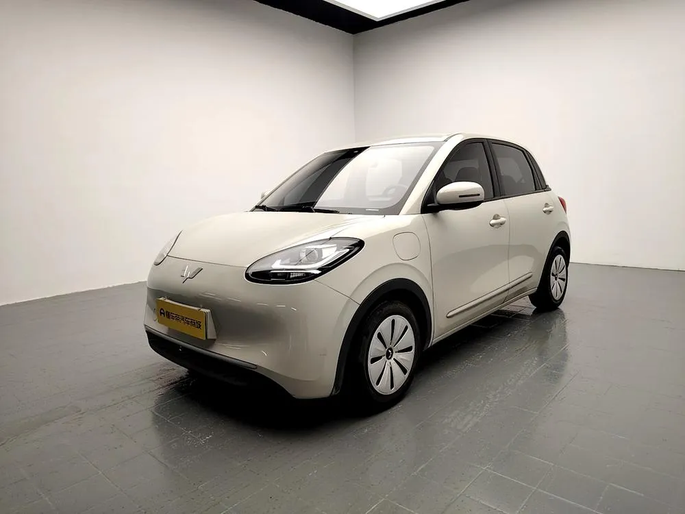 Wuling Bingo, 2023