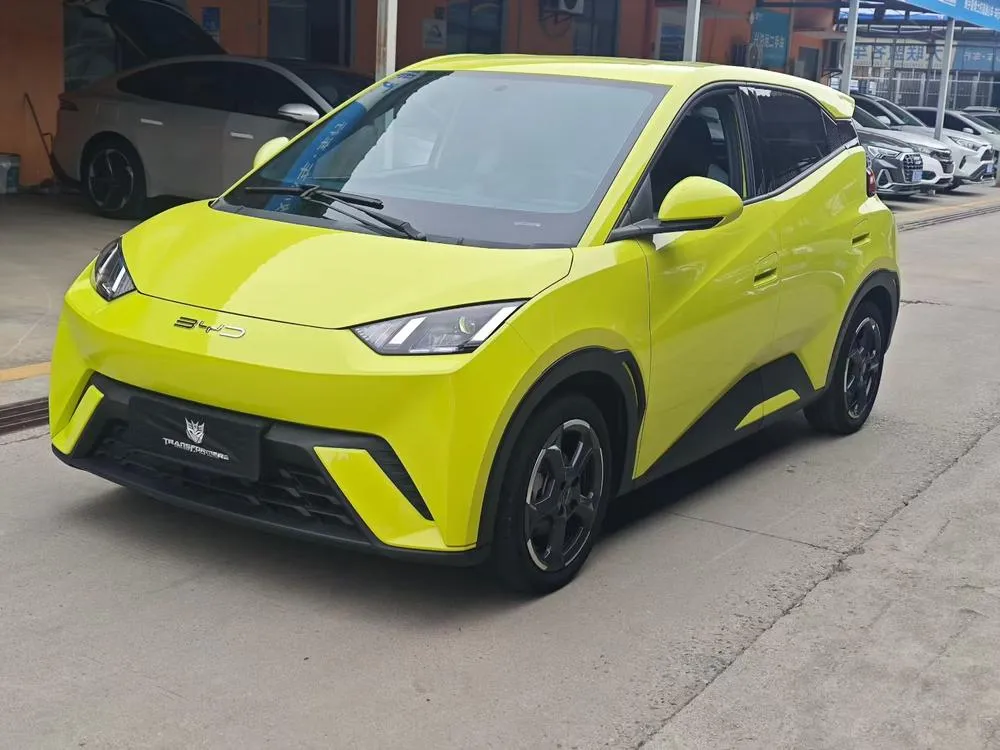 BYD Seagull, 2023