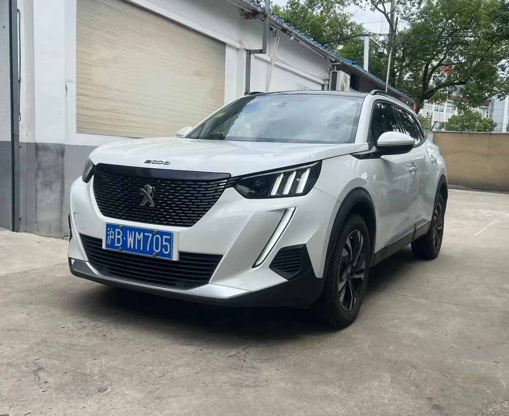 Peugeot 2008, 2020