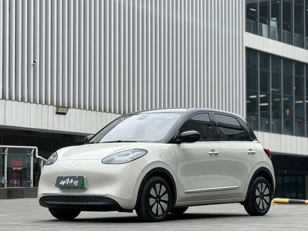 Wuling Bingo, 2023