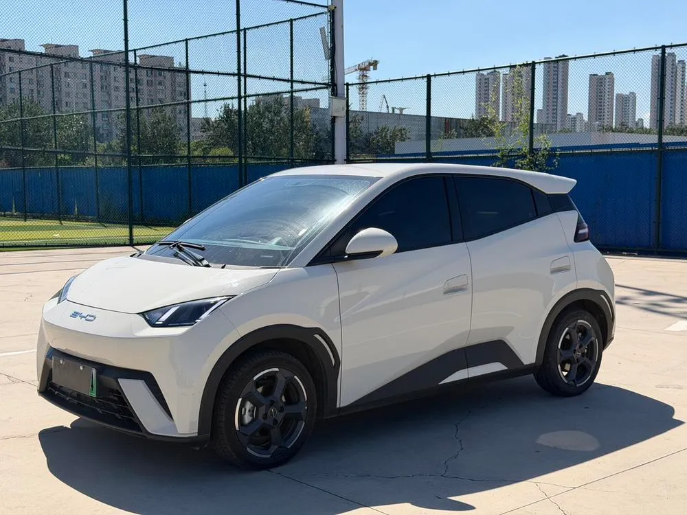 BYD Seagull, 2023
