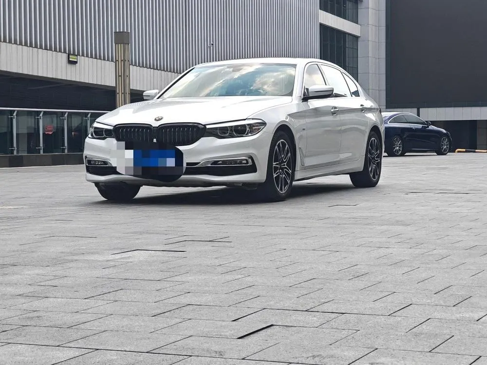 BMW 5-Series Facelift 530Li Leading Version Luxury, 2018 — фото 1