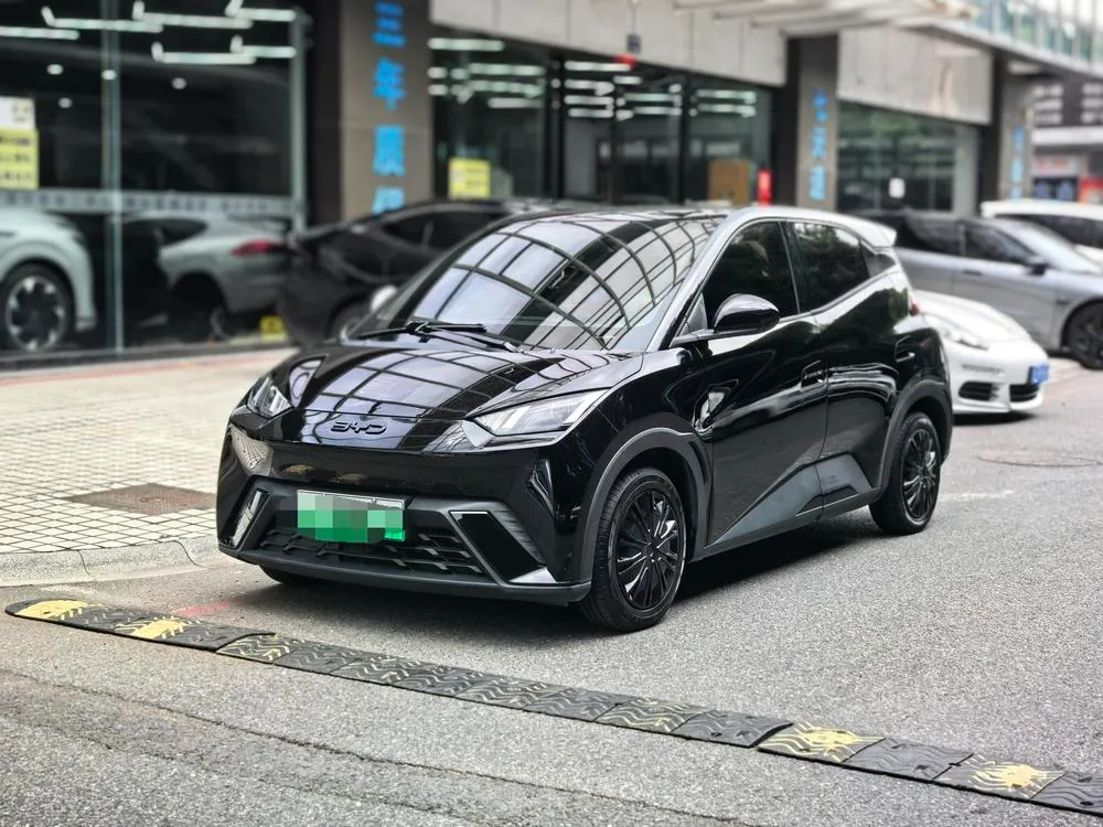 BYD Seagull, 2024