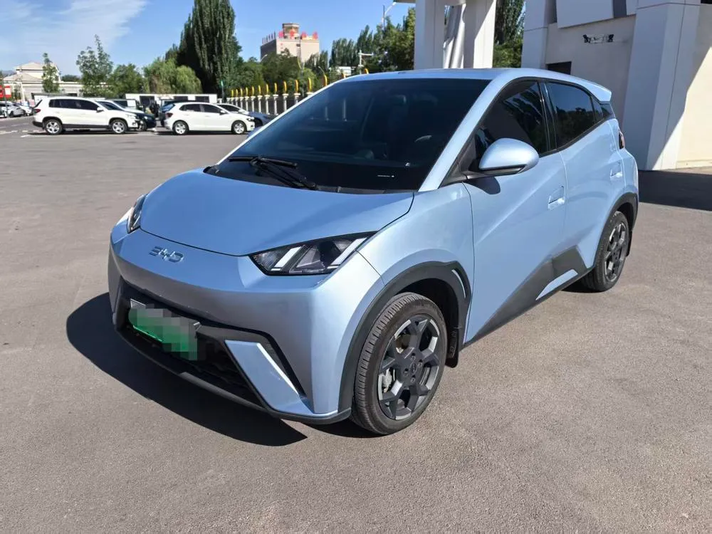 BYD Seagull, 2024