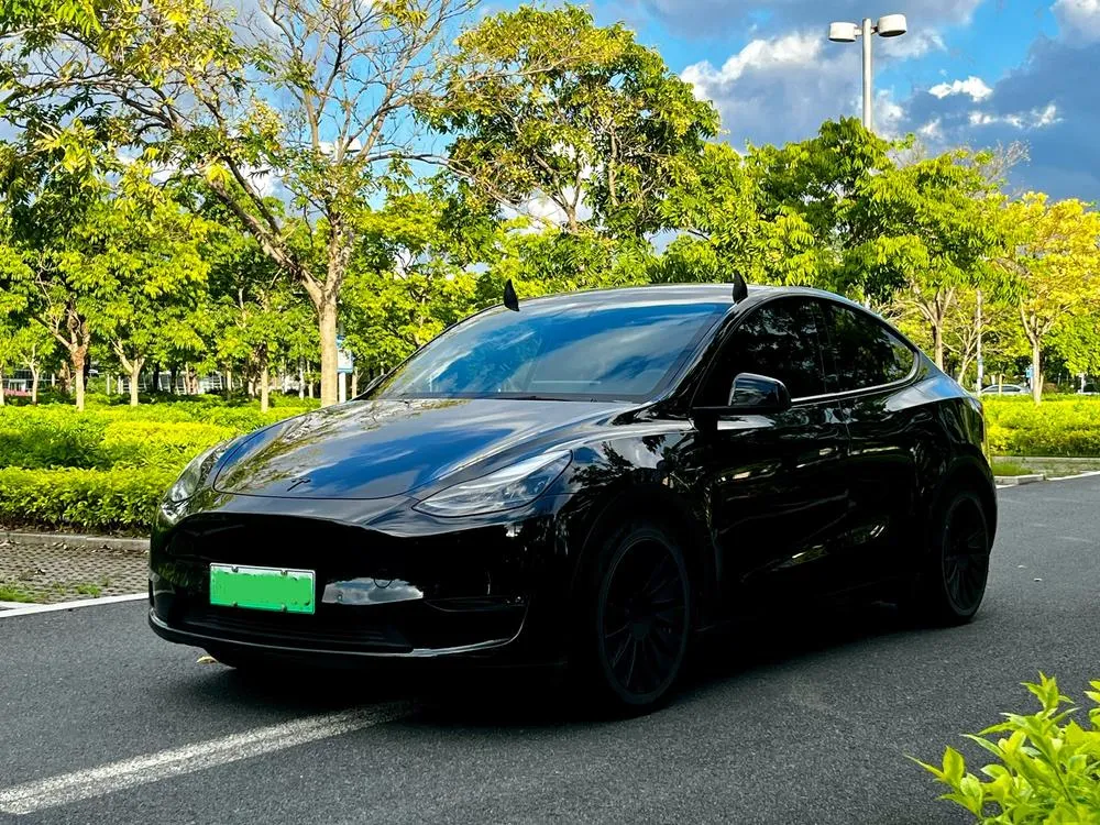 Tesla Model Y, 2021