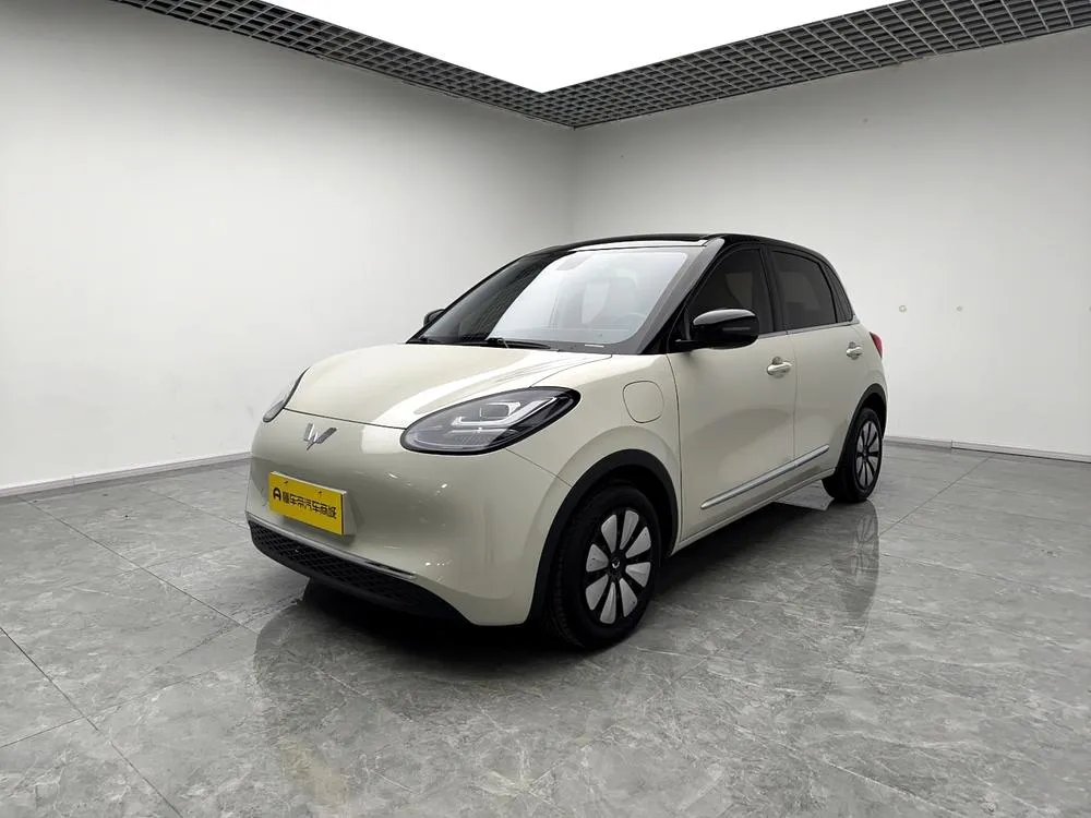 Wuling Bingo, 2023
