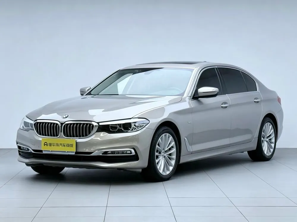 BMW 5-Series 530Li Leading Version Luxury, 2018 — фото 1