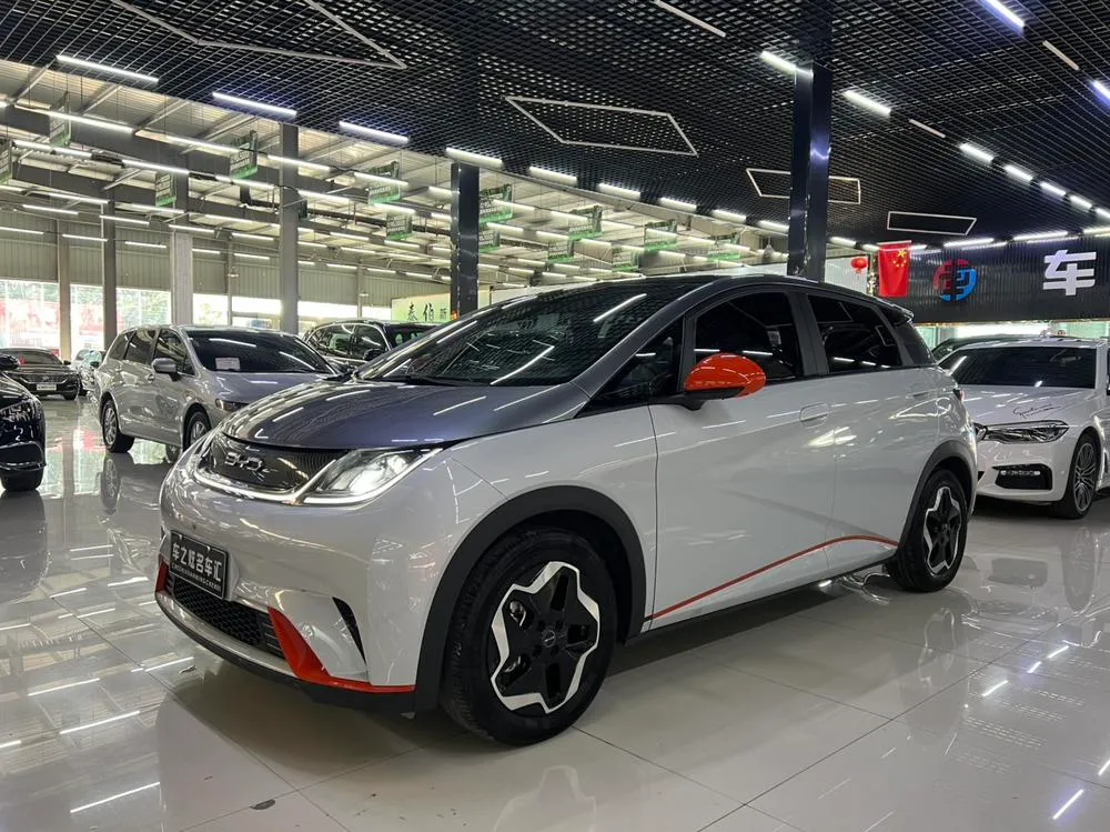 BYD Dolphin, 2021