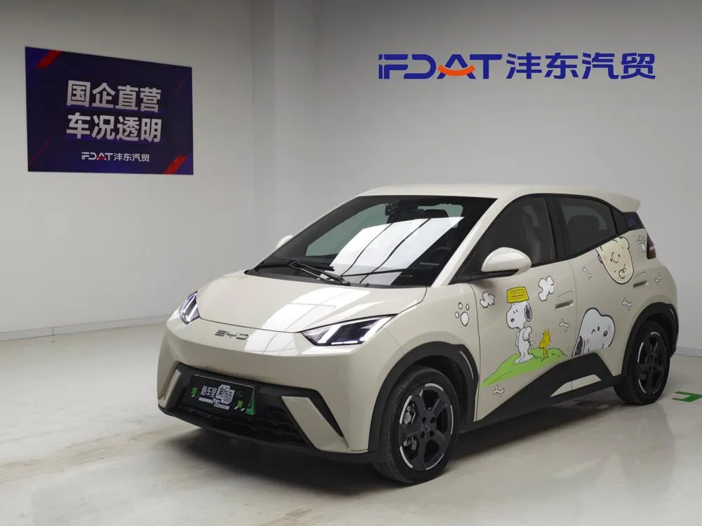 BYD Seagull, 2023