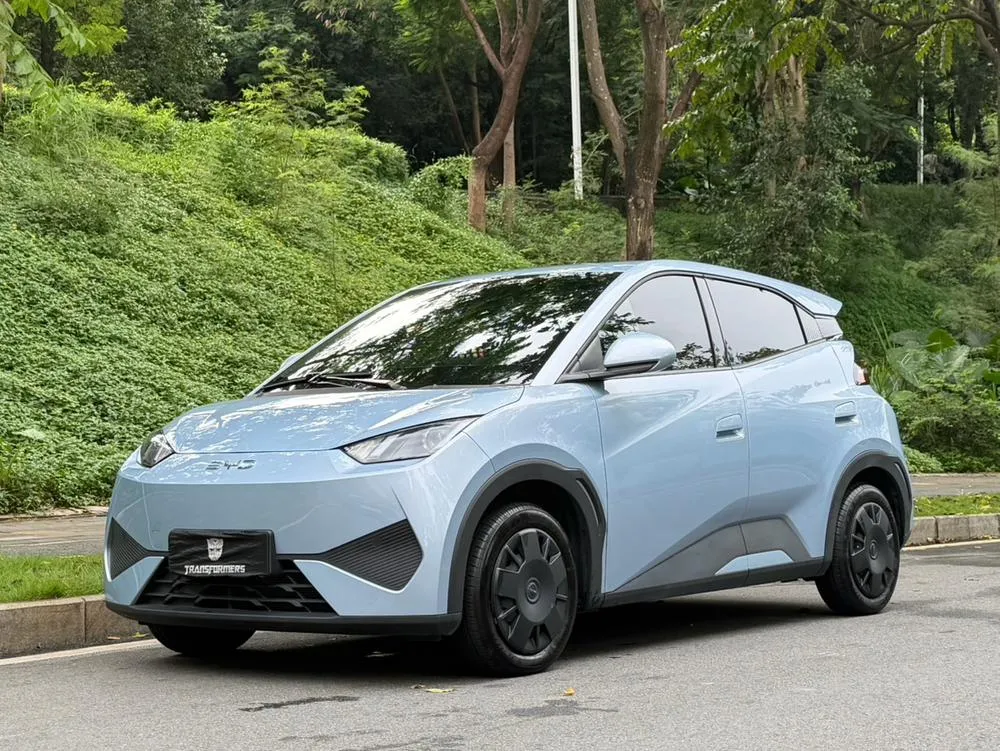 BYD Seagull, 2025