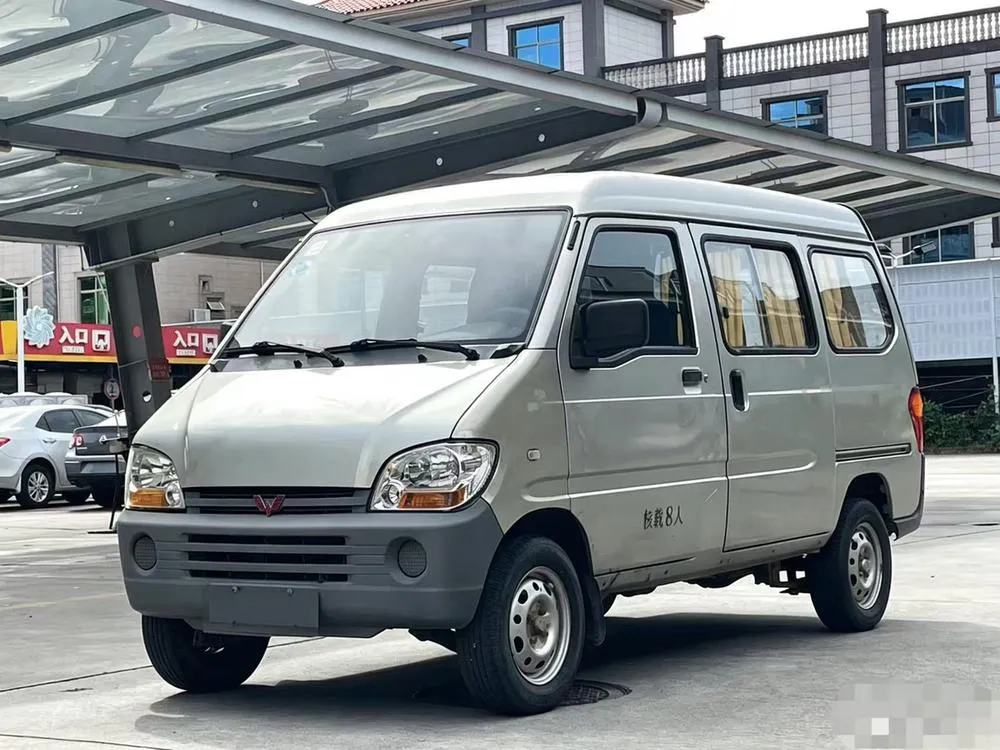 Wuling Zhiguang, 2010