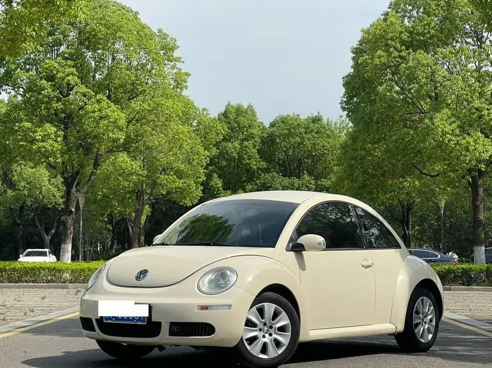 Volkswagen Beetle, 2010