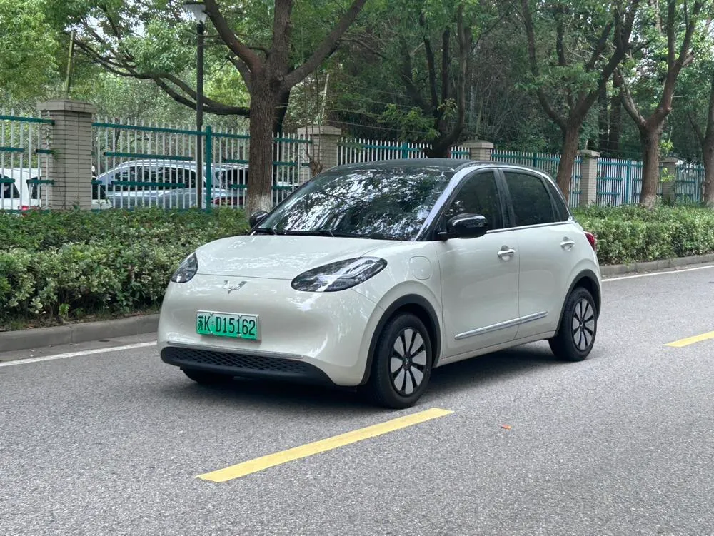 Wuling Bingo, 2024