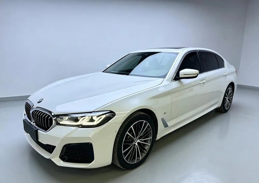 BMW 5-Series 530Li Leading Version M Sport, 2023 — фото 1