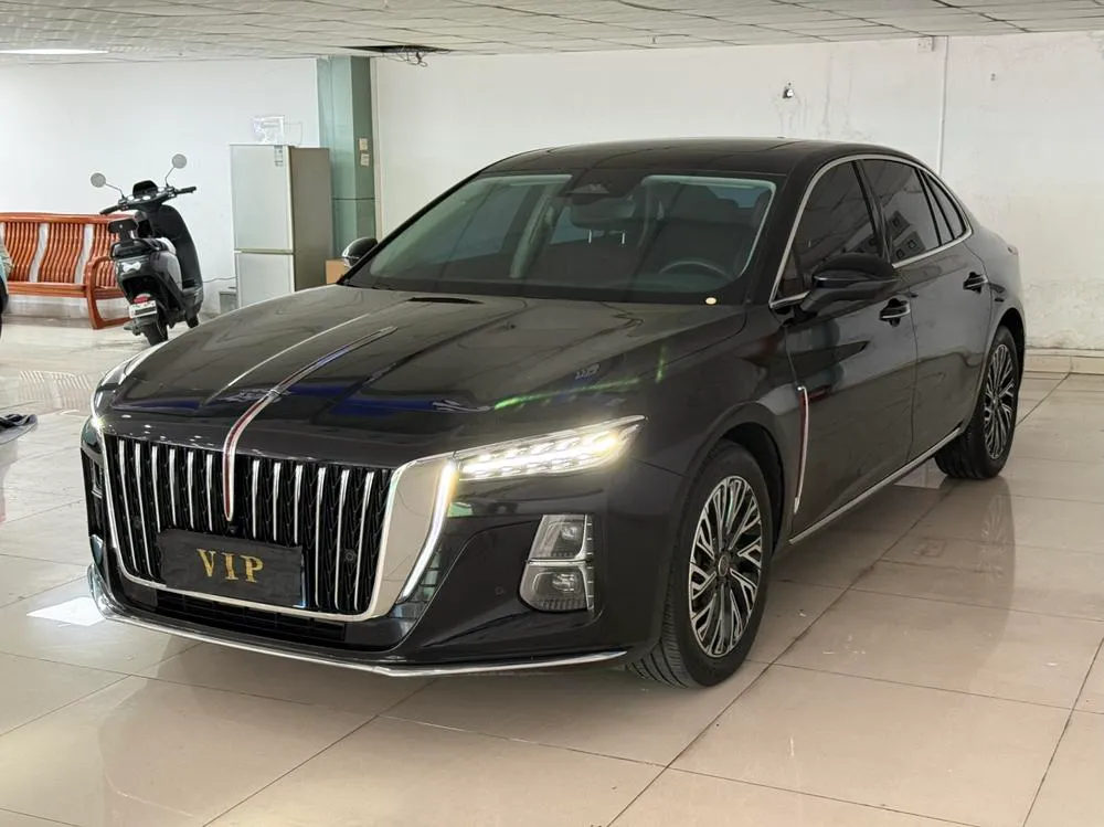Hongqi H5, 2025
