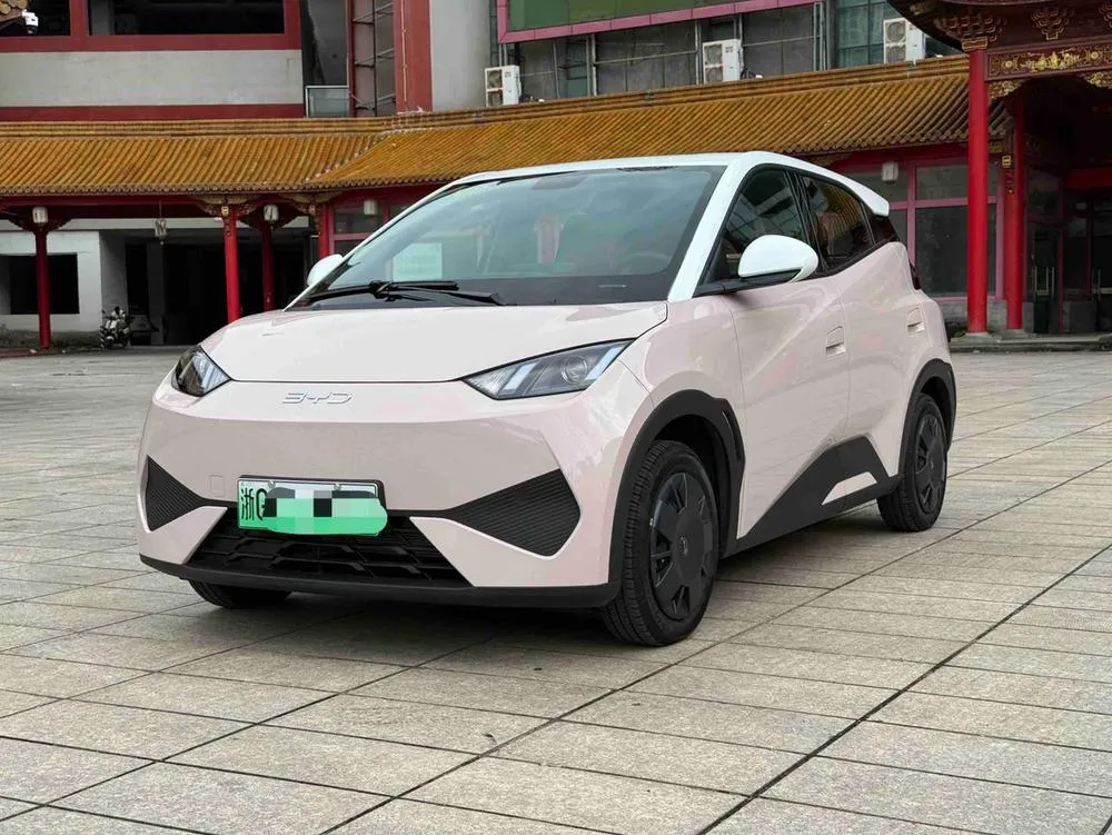 BYD Seagull, 2025