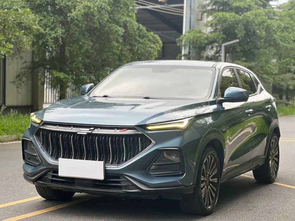 Changan Oshan X5, 2021