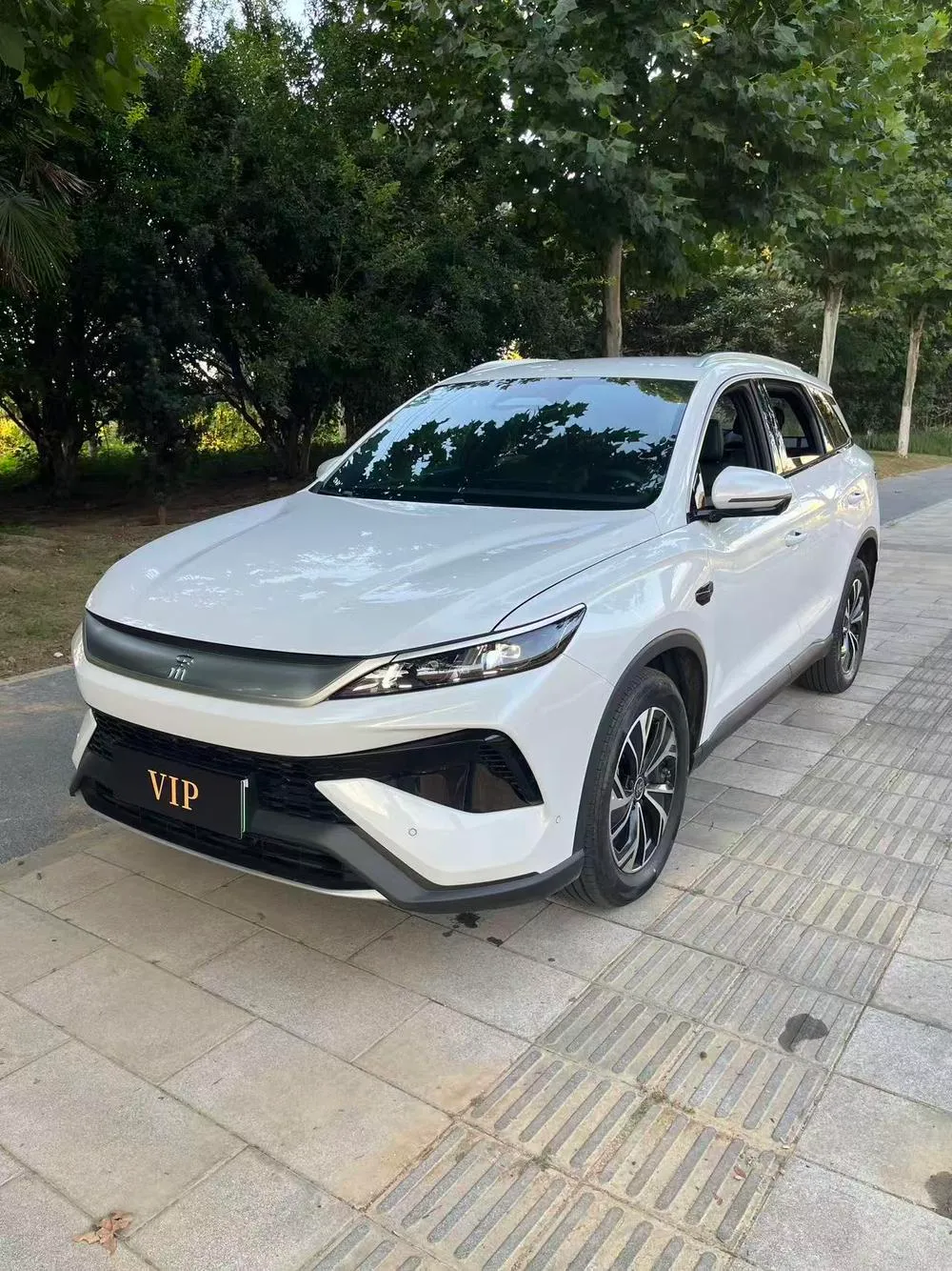BYD Song Pro DM, 2025