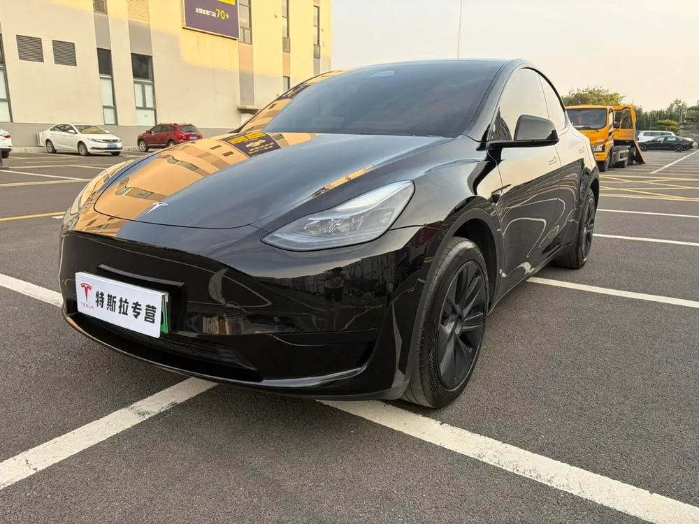 Tesla Model Y, 2024