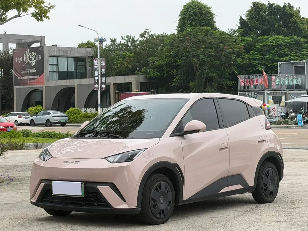 BYD Seagull, 2024