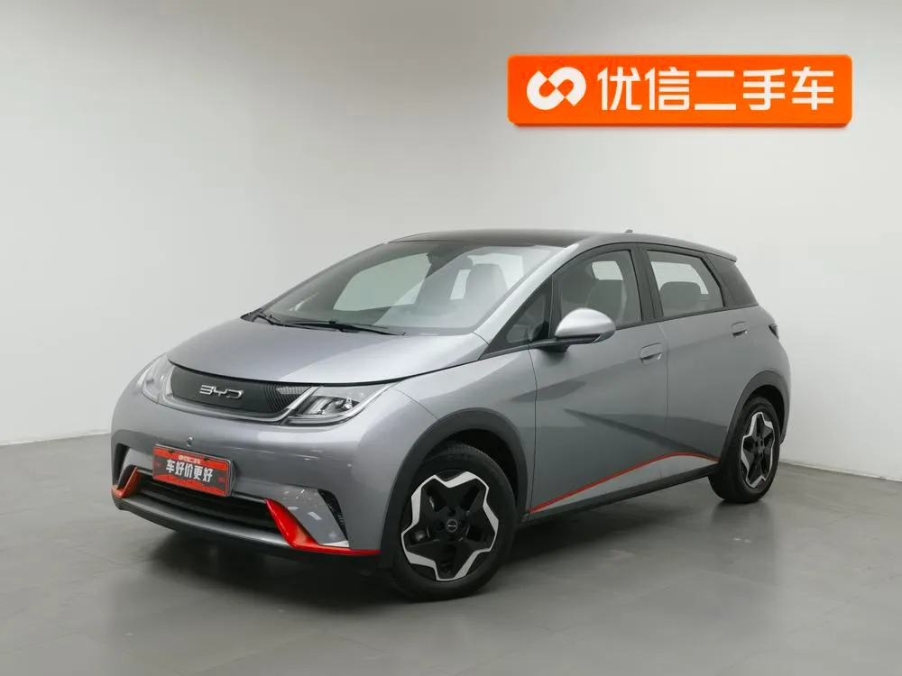 BYD Dolphin, 2021