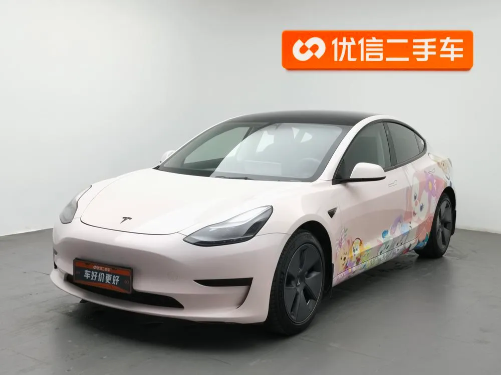 Tesla Model 3 Standard Range RWD Upgraded Edition 3D6, 2021 — фото 1