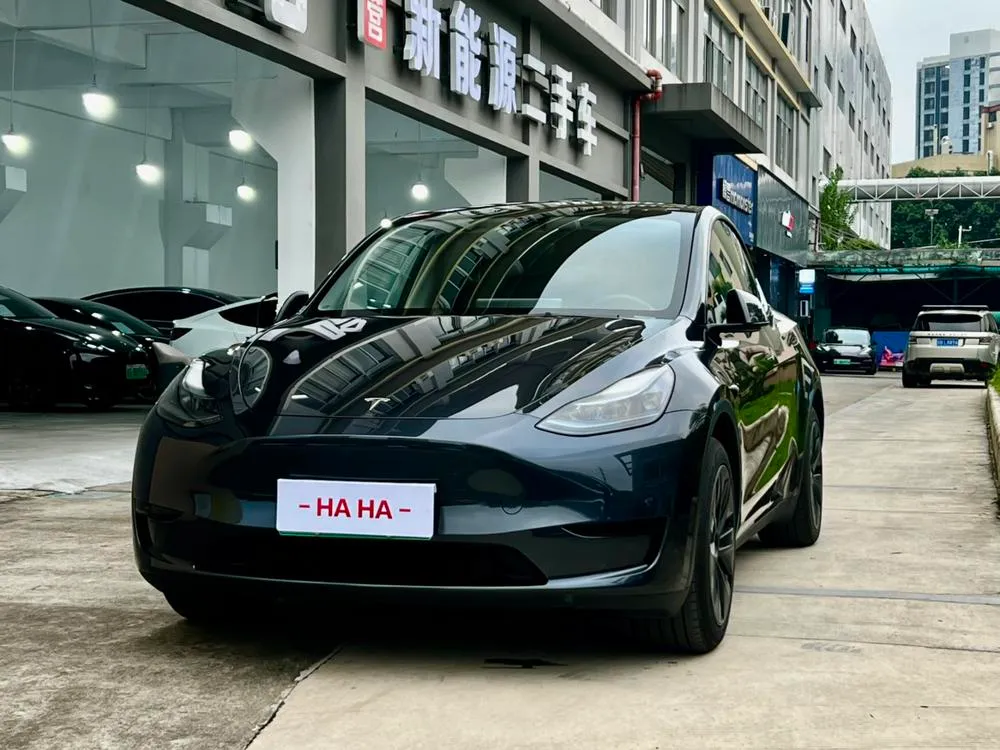 Tesla Model Y, 2024
