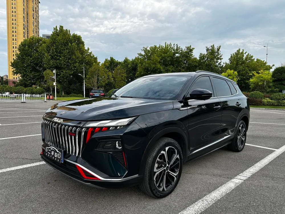 Dongfeng Fengshen Haoji, 2024