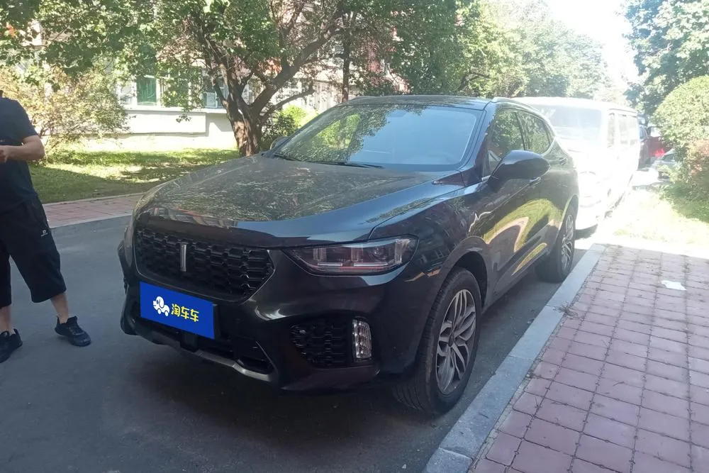 Wey VV5, 2019
