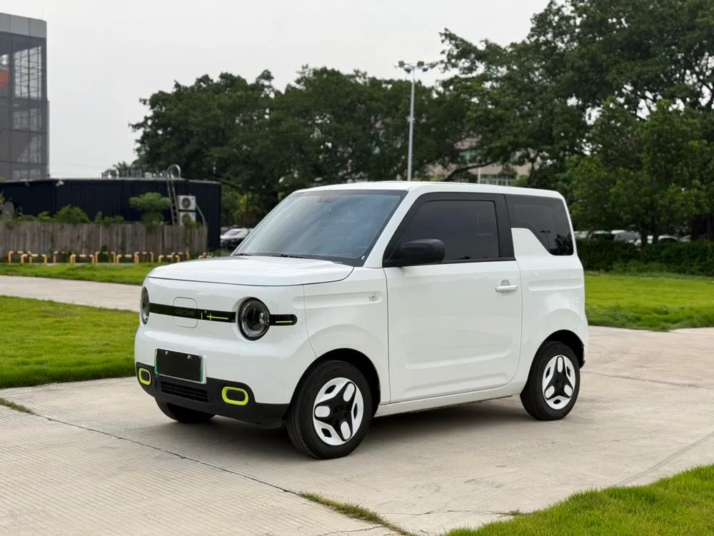 Galaxy Panda, 2025