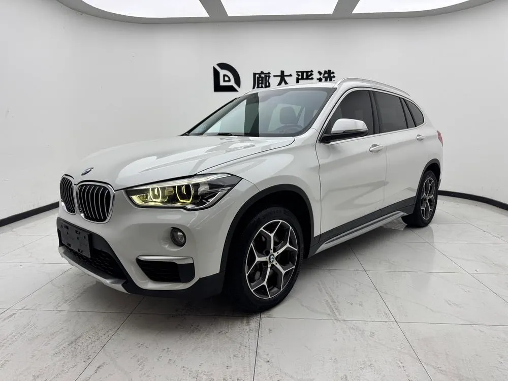 BMW X1 xDrive20Li Prestige Version, 2019 — фото 1