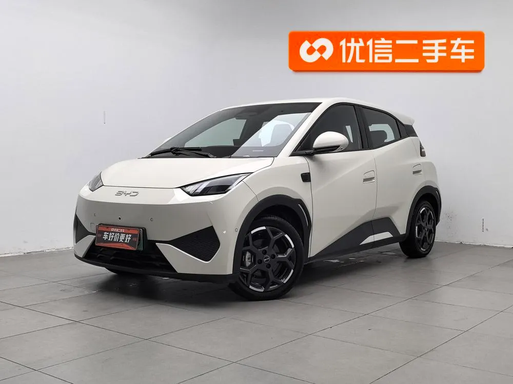 BYD Seagull, 2025
