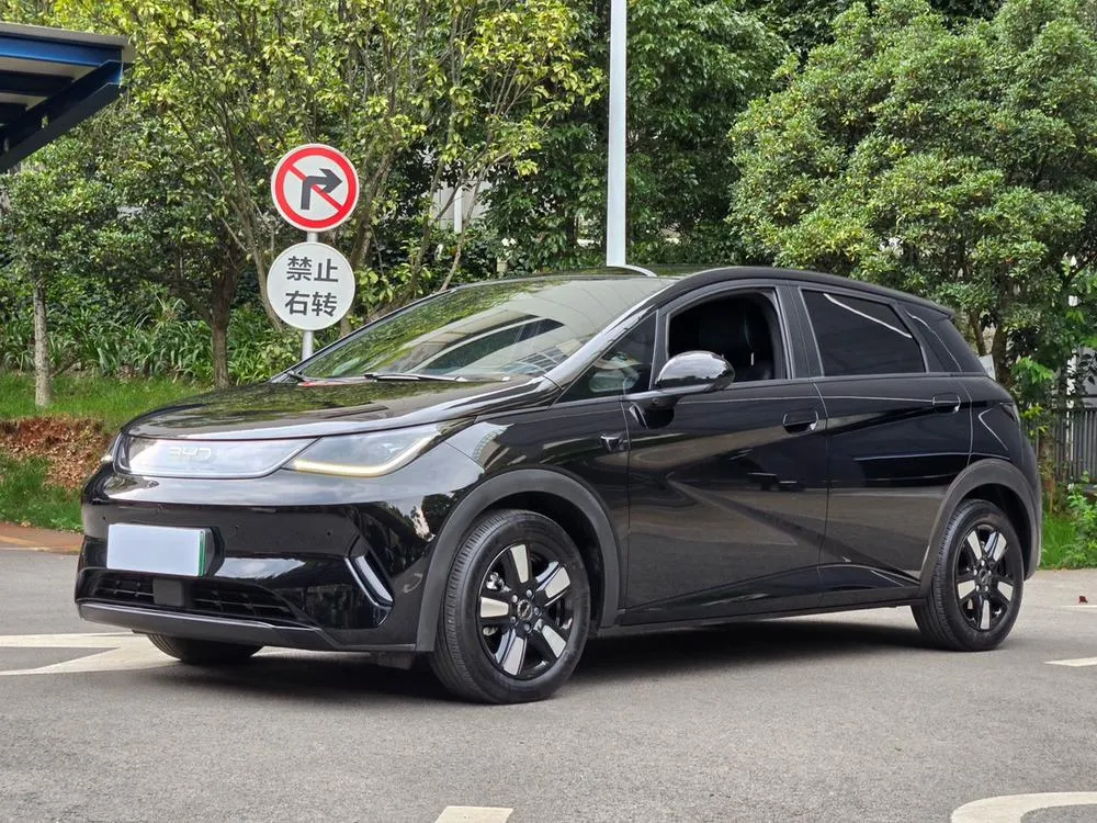 BYD Dolphin, 2025