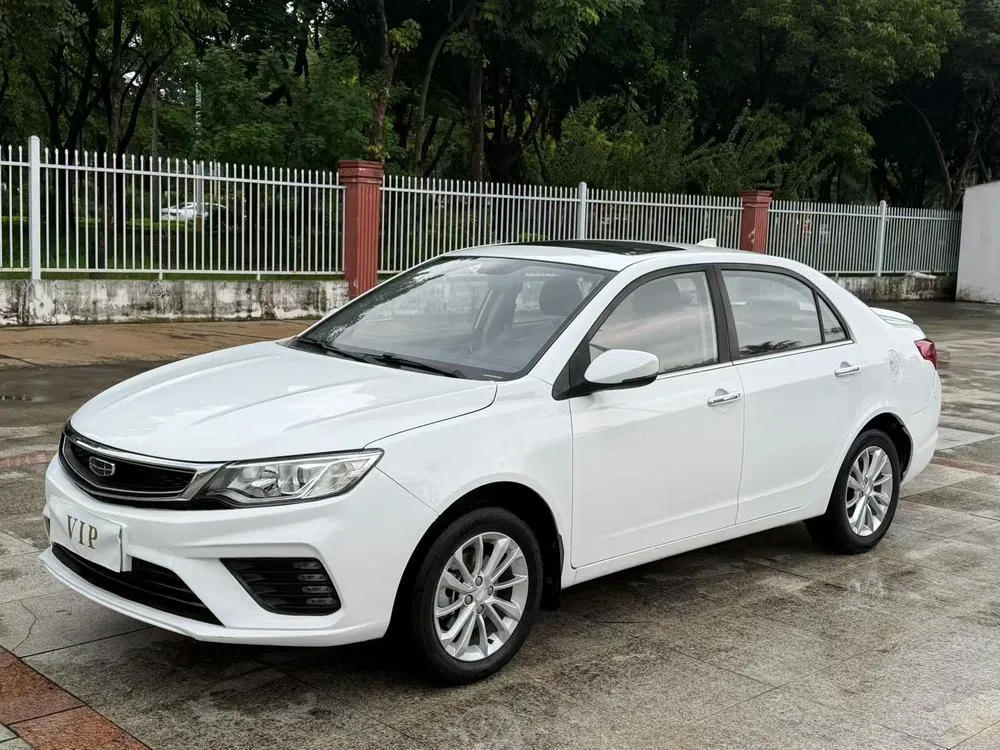 Geely Yuanjing, 2020