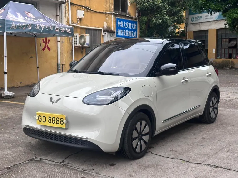 Wuling Bingo, 2023