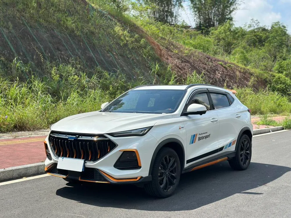 Changan Oshan X5, 2022