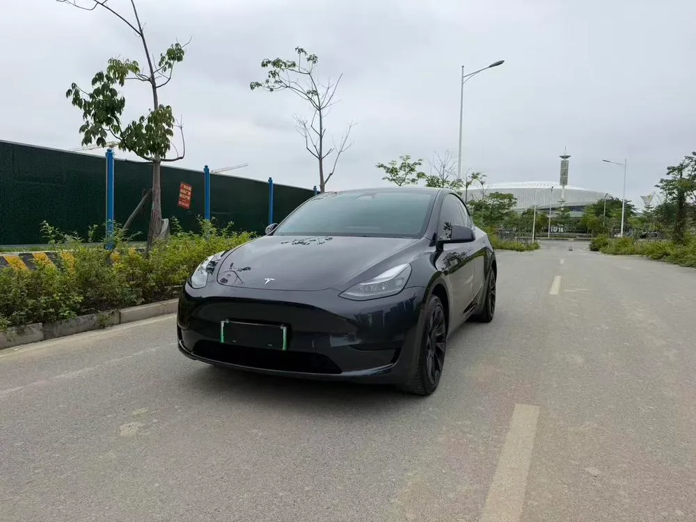 Tesla Model Y, 2024