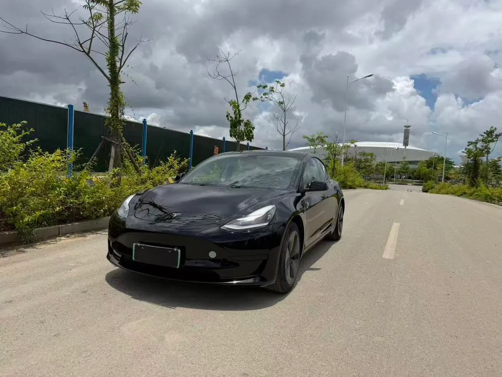 Tesla Model 3, 2020